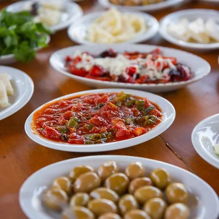 Emecik Dortmevsimevi داتْشا